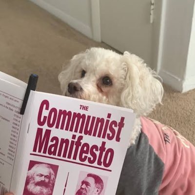 Goodreads profile picture for @soviet
