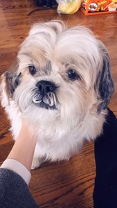 Lily