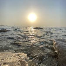 Nedaa
