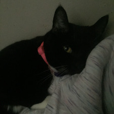 Claudia Mearns-Ramirez