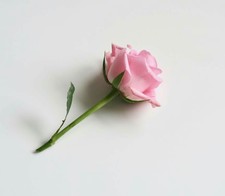 فاطمة سيد محمد