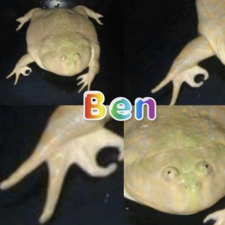 Ben H