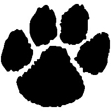 East Chapel Hill High School Library