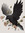 Raven | 4 comments