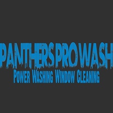 Panthers Pro Wash