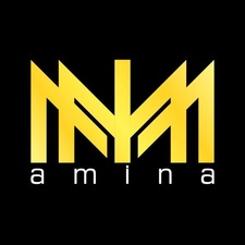 آمینا گروپ
