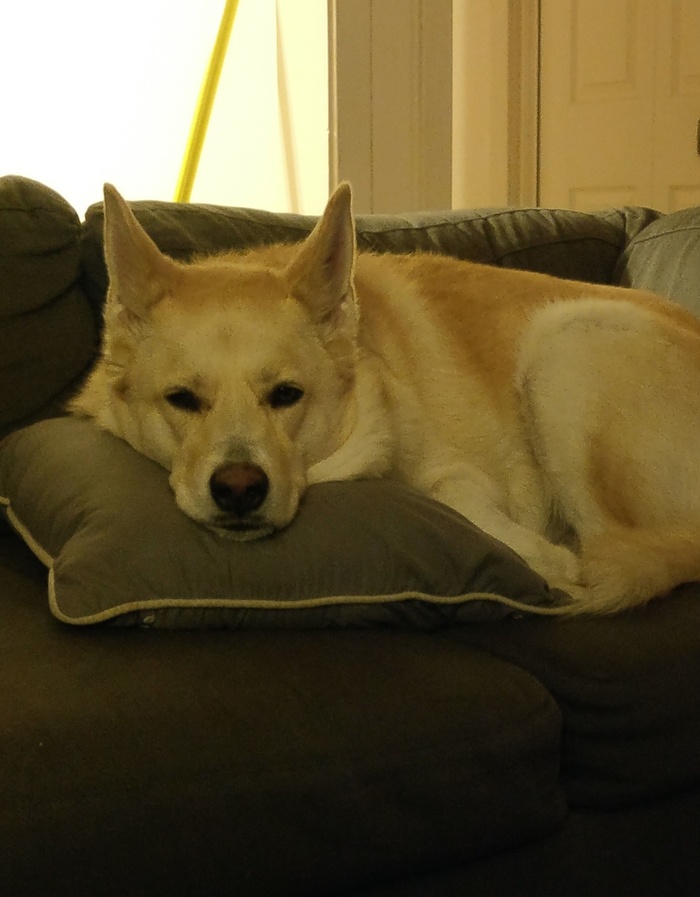 Goodreads profile picture for @modus
