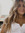 Lacey R...