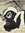 Nilu | 17 comments