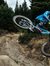 McAllis...