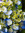 member photo member photo