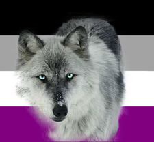 ☁︎  ☾ ｡⋆ morgan ⋆｡☽ ☁︎