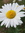 Isabelle | 2 comments