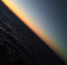 Ρόζα