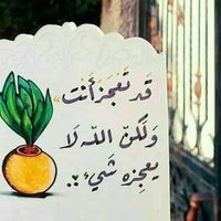 محمد الحاج