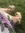 Jess Savage | 13 comments