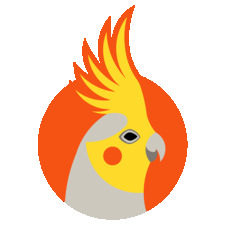 خانه عروس هلندی