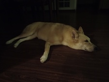 Raymond Ka Lun Leung