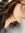 Ryann (goodreadscomsgt_uwu) | 11 comments