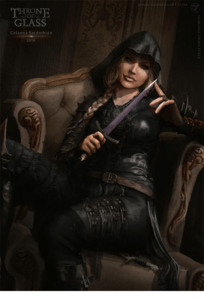 Adarlan’s Assassin