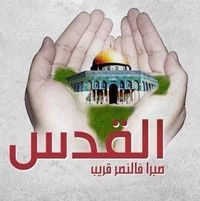 هداية هداية