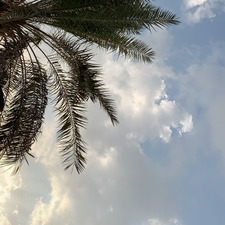 Alanoud Alkhayal