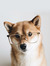 Quynh N...