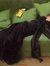 Keats