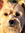 Cayce | 1 comments