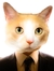Felix Savage