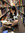 Isabella (angelvault) | 1 comments
