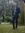 D.D. Kenworthy | 4 comments