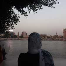 Heba Labib
