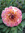 Hita | 169 comments