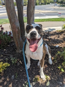 Amanda-Easterly Turner