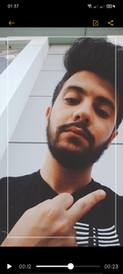 Anis