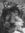 Biene | 7 comments