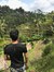 Widi Kuandinata