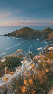 غيد⚘️اء المنصور