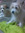 member photo member photo