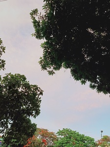 LINH