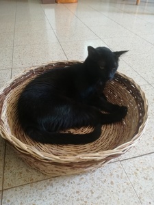 Klil