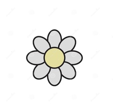 Daisy