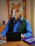 Pony