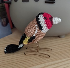 cardulelia carduelis