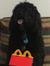 Mickey