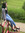 Emmadilemma Emma Aspin
