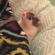 Benny