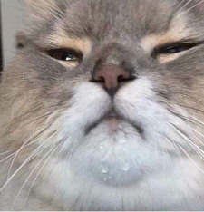 Erik