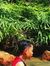 Irfan H...